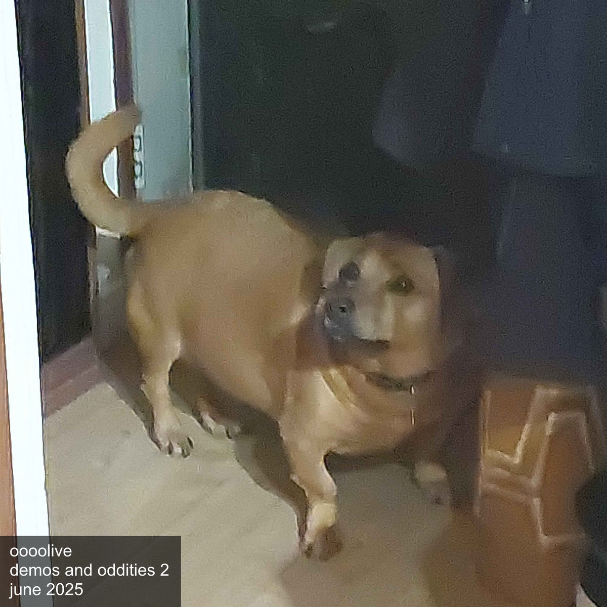 demos and oddities june 2025